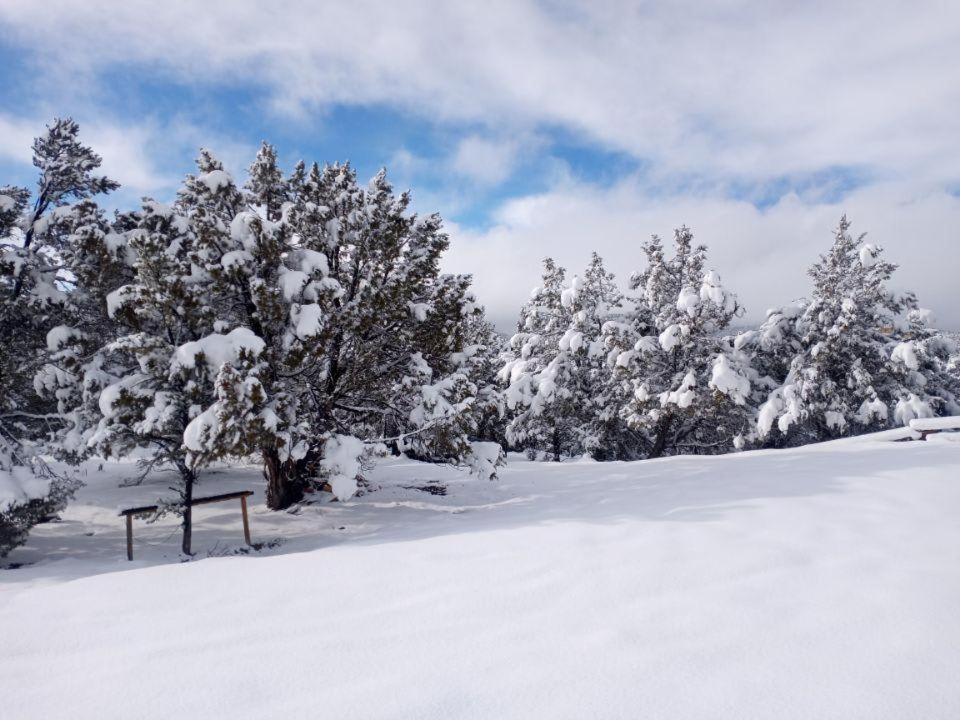 Pinyon Ridge Ranch Near Zion Np Hot Tub Pets Ok Ордървил Екстериор снимка