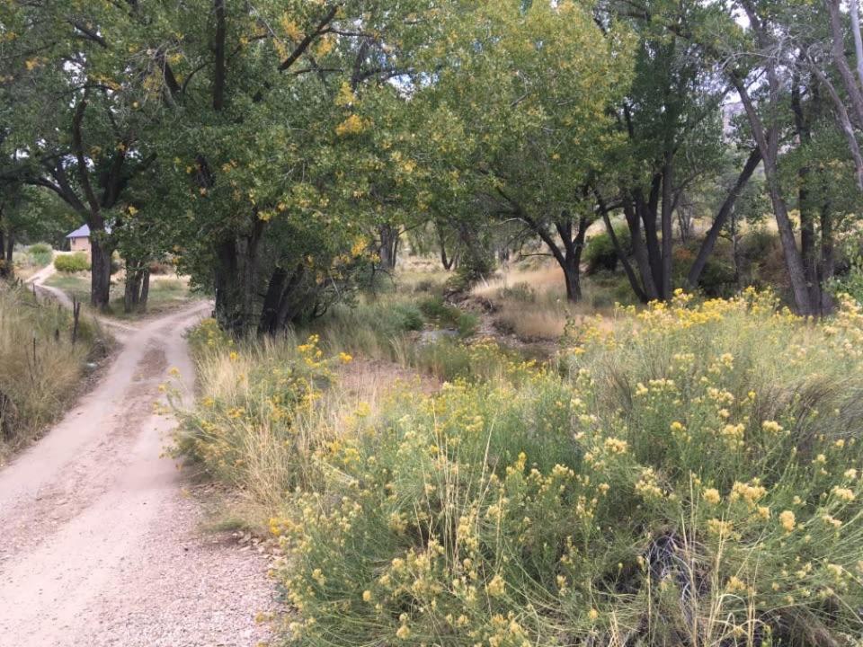 Pinyon Ridge Ranch Near Zion Np Hot Tub Pets Ok Ордървил Екстериор снимка